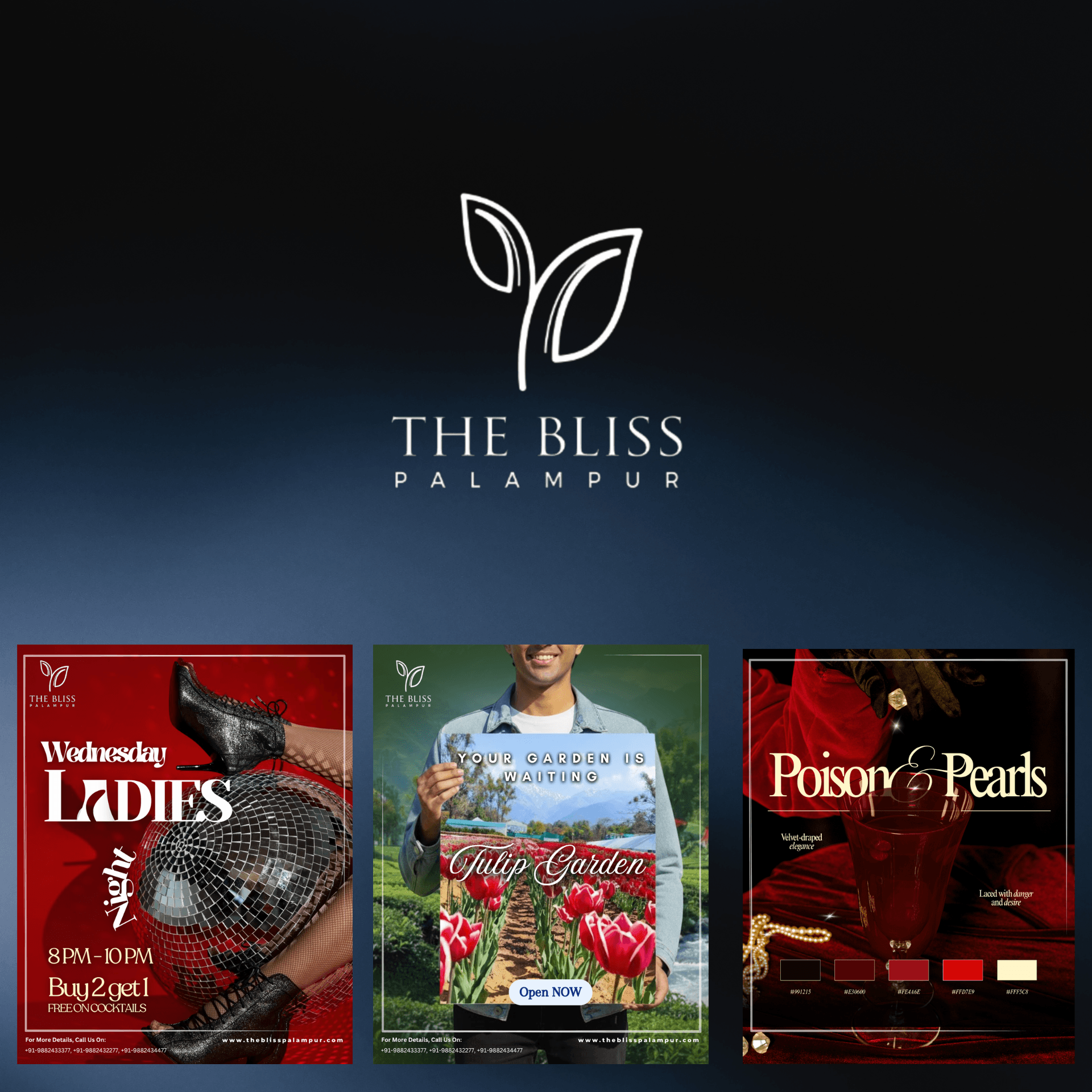 The Bliss Palampur — Ongoing
Digital Growth Partnership
